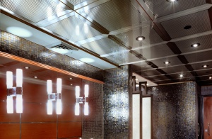 decorative metal ceiling panel